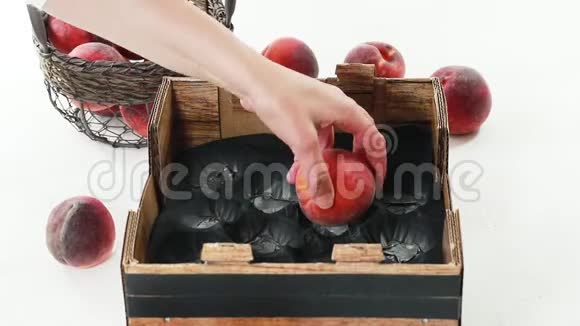 木制盒子里的新鲜桃子女人在盒子里放水果在白色背景下靠近视频的预览图