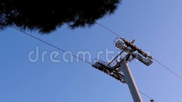 两根木轮正靠在蓝天和绿杉上朝对方移动运动旅游缆车巴塞罗那视频的预览图