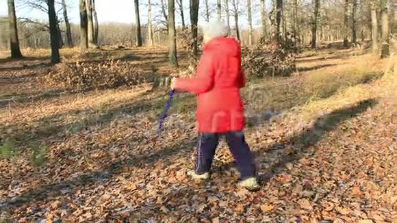 秋天公园从事北欧徒步活动的老年妇女视频的预览图