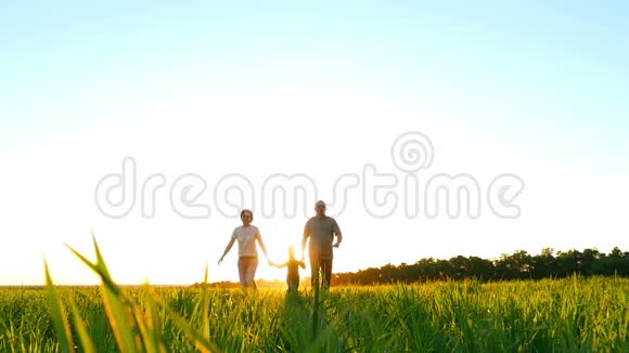 幸福的年轻家庭一个孩子在绿色的草坪上奔跑手牵着夕阳的背景缓慢地走向视频的预览图