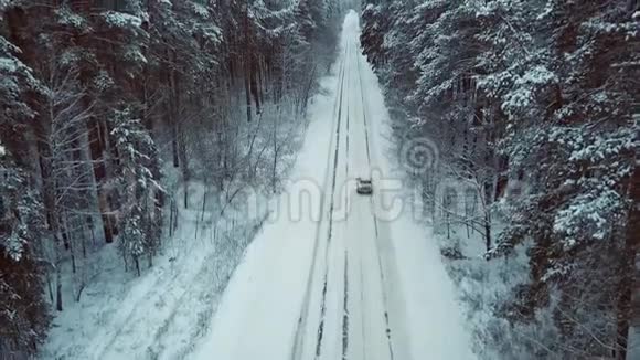 在云杉木的雪域乡村道路上的无人机起飞冬季景观视频的预览图