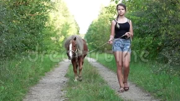 夏天少女和一匹小马在美丽的乡间小路上散步视频的预览图