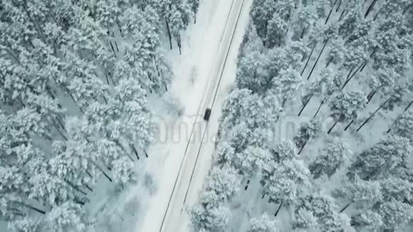 在云杉林的雪域乡间小路上有人跟着车视频的预览图