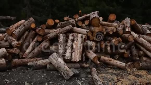 一堆木头堆在路上视频的预览图