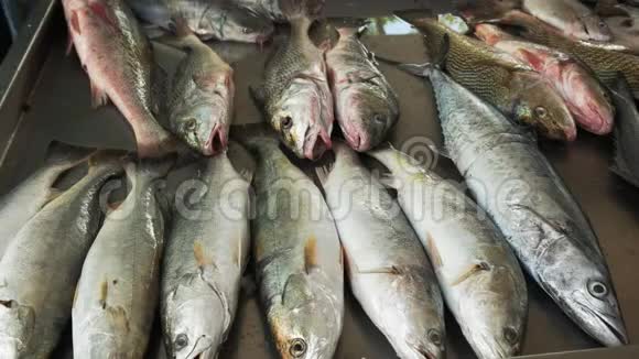 在里约热内卢copacabana海滩的一个市场上出售的鱼视频的预览图