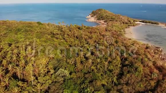 海洋中的小岛和珊瑚礁无人居住的绿色岛屿和美丽的珊瑚礁在阳光明媚的平静海洋中的无人视野视频的预览图