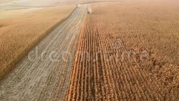 组合收割玉米在田间鸟瞰4k视频的预览图