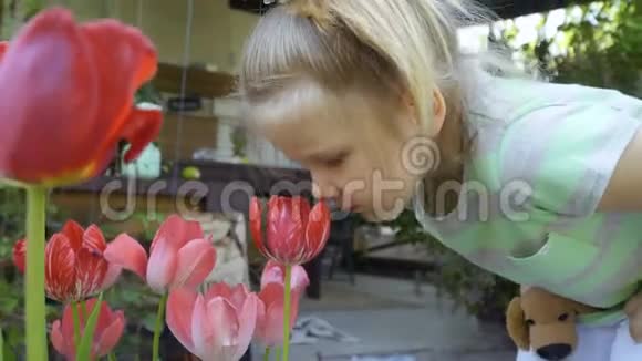 可爱的小女孩在花园里嗅着郁金香视频的预览图