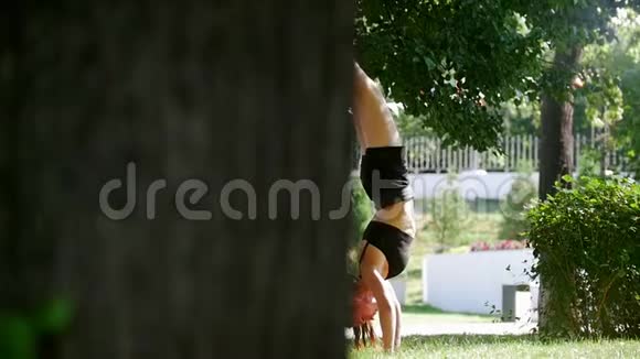 穿着黑色运动服的漂亮运动员在夏季公园的一棵树上双手抱着脚蹲下表演视频的预览图