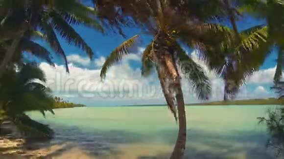 库克热带海滩椰子棕榈树的Aitutaki泻湖全景时间推移视频的预览图