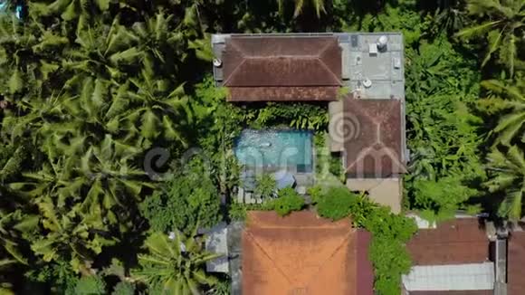 有五颜六色的屋顶和游泳池的房子棕榈树之间有游泳的女人视频的预览图