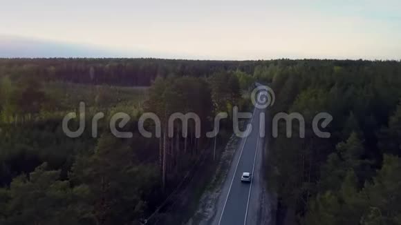 空中观景空道常绿森林中驾车视频的预览图