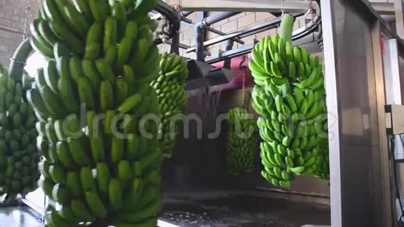 香蕉包挂在食品包装行业的洗衣机里视频的预览图
