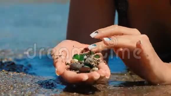 棕榈海中的贝壳视频的预览图