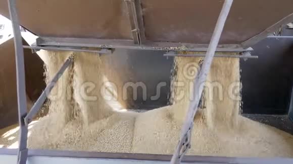 养殖设备大豆在杂质净化过程中从分离器中脱落视频的预览图