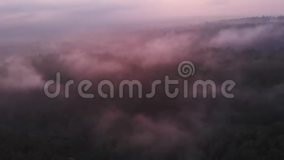 鸟瞰粉红色的黄昏雾和蒸发在印度尼西亚的丛林和森林视频的预览图