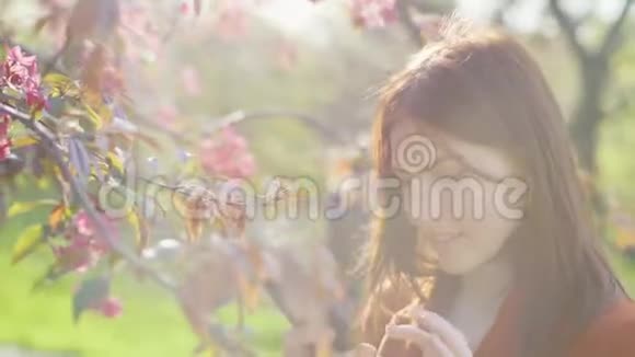 迷人的年轻红发女人在日落时在公园里使用手机背景樱花或樱花的春花视频的预览图