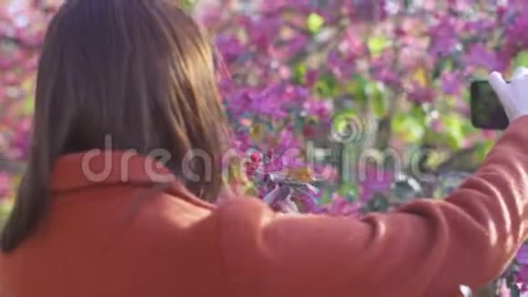 年轻迷人的红发女人在智能手机上拍摄樱花或樱花春花的背景自拍视频的预览图