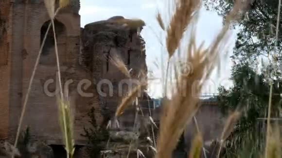 从小麦向罗马市中心阿文蒂诺废墟方向射击视频的预览图