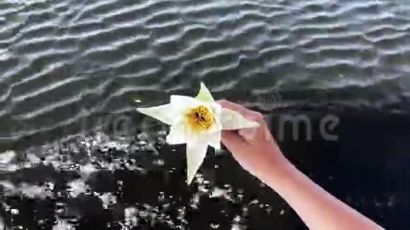 一个女孩抱着一朵莲花在水面上手特写视频的预览图