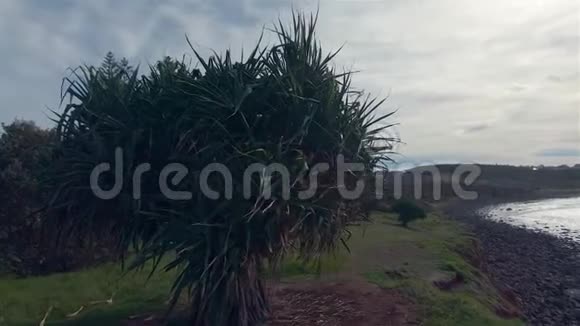 新南威尔士州莱诺克斯头博尔德海滩景观澳大利亚新南威尔士州海滨度假目的地视频的预览图