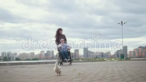 坐轮椅的残疾人和年轻女子一起玩鸽子视频的预览图