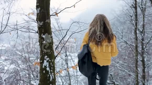 美丽的黄姑娘在山上的森林里举手俯瞰着雪谷视频的预览图