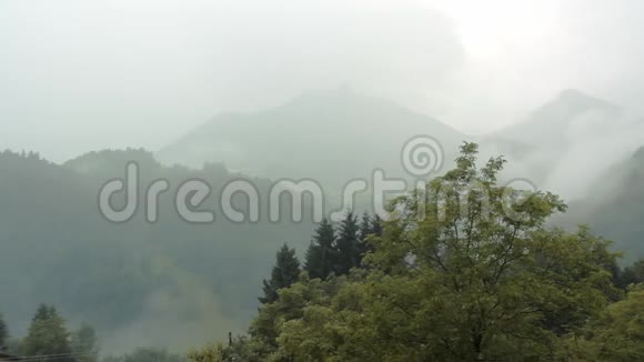雾在山里视频的预览图