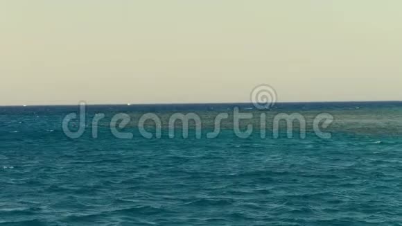 夏天海景水面宁静平静的绿松石海和蓝天度假者带着面具游泳以便浮潜视频的预览图