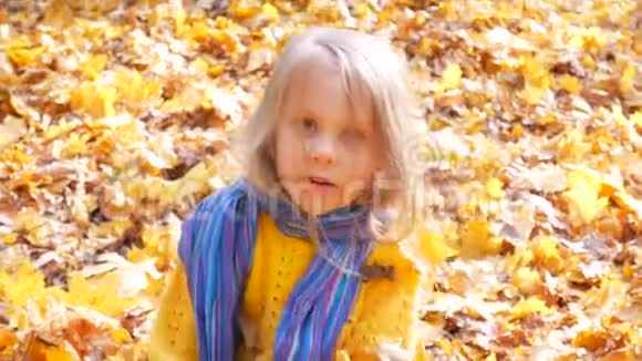 秋天在公园里扔树叶的小可爱女孩视频的预览图