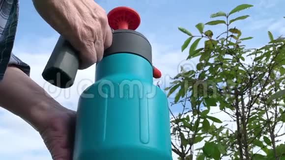 园艺师用杀虫剂溶液喷洒果树和灌木防止植物病虫害视频的预览图