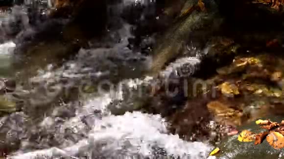 小溪中的水冲过覆盖在叶子上的岩石视频的预览图