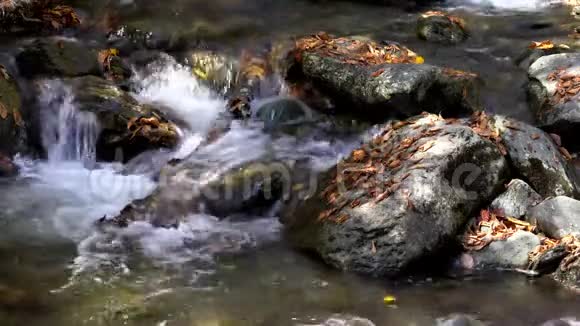 在小溪流中大角度的水流冲过覆盖在叶子上的岩石视频的预览图