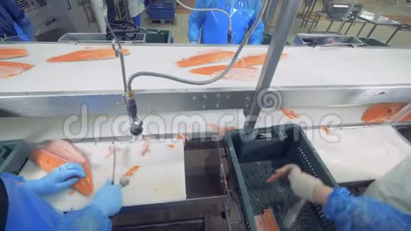 人们在工厂工作切鱼关门视频的预览图