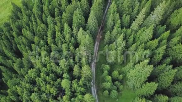 无人机飞过一条穿过森林绿树的道路视频的预览图