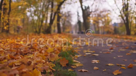 一对漂亮的夫妇独自穿过秋天的公园视频的预览图