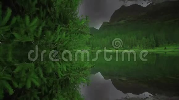 群山之间的湖泊和绿林对称地反映视频的预览图