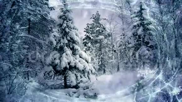 冬天的森林里有移动的大雪对圣诞卡有用视频的预览图
