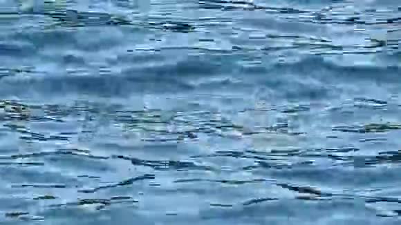 碧海涟漪在水面上肆虐视频的预览图