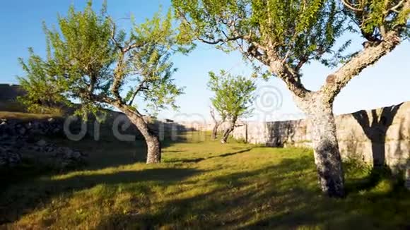 南茂城堡的杏仁树景观视频的预览图