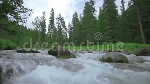 水流缓慢中间有巨石后面有绿色的自然视频的预览图