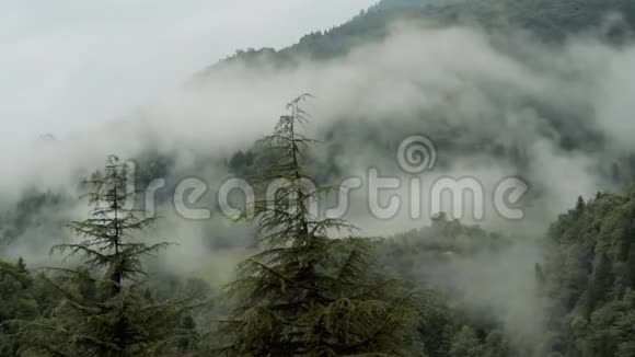 山脉中的雾视频的预览图
