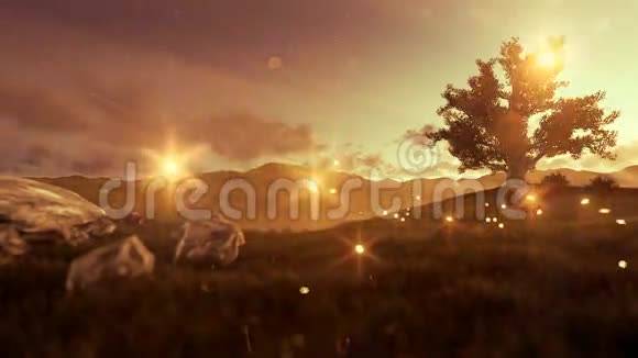 绿茵草地上的萤火虫和黄金时刻的生命之树视频的预览图