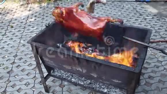 小猪烧烤架大锅放20天猪肉视频的预览图