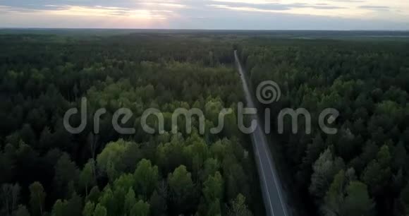 鸟瞰无边无际的常青木和现代道路视频的预览图