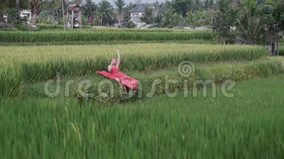 一个满头白发的女孩穿着鲜红的裙子坐在稻田上坐在一片倒角的米饭上美丽地把她铺开视频的预览图