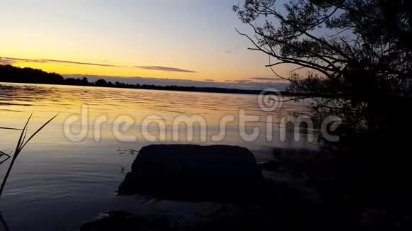 夏天平静的湖面日出或日落清晨黄昏宁静的湖滨田园风光视频的预览图