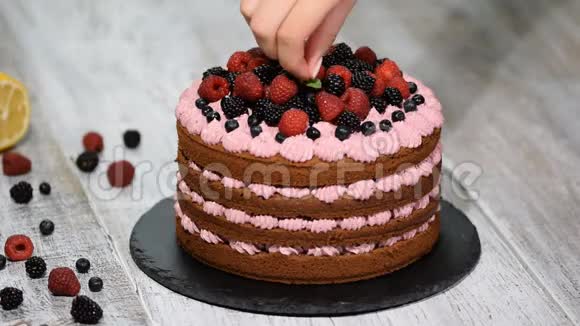 用薄荷叶装饰浆果蛋糕自制巧克力蛋糕视频的预览图