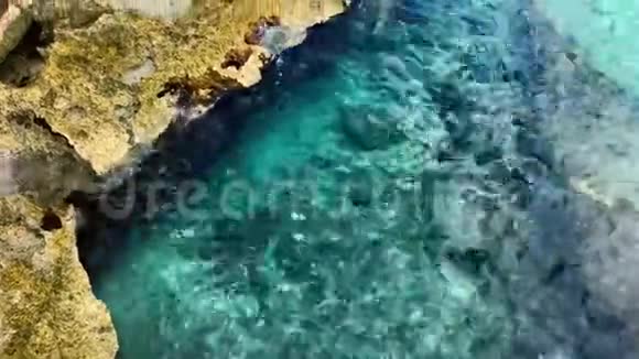 靠近石珊瑚岸晶莹清澈的海水平静地撞击岩石视频的预览图