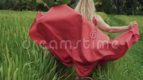 模特穿着一件鲜红色连衣裙从模特背上拍下来的特写慢镜头赤脚穿过稻田手持视频的预览图